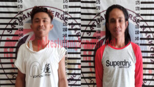Dua pelaku peredaran gelap narkotika berinisial MA (27) dan BU (26) yang ditangkap petugas saat sedang bertransaksi di sebuah rumah yang ada di Dusun Tulung Mas, Kampung Gedung Meneng