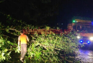Petugas sedang mengevakuasi pohon tumbang yang menutup Jalintim di Kampung Panca Mulya, Kecamatan Banjar Baru