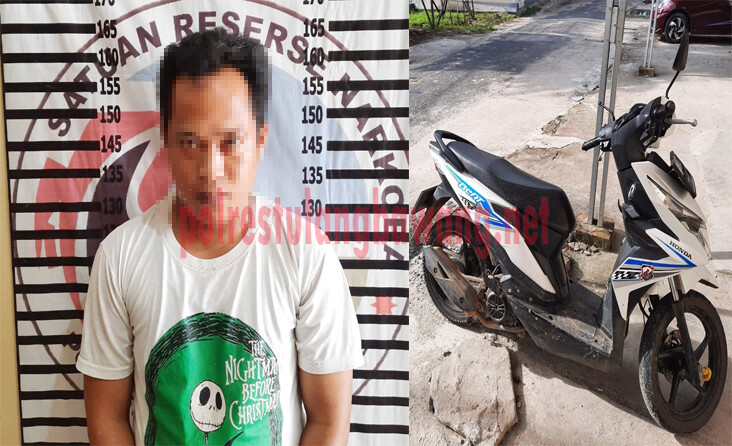 Pria berinisial AW (30), warga Kelurahan Ujung Gunung yang ditangkap petugas saat menggerbek sebuah rumah yang ada di Jalan Dermaga Bugis, Kelurahan Menggala Kota.